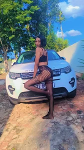 Nova-777Public图片 8