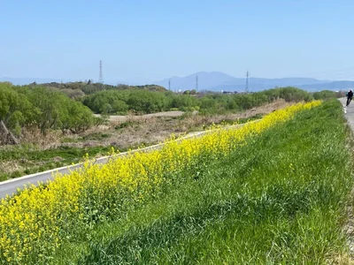 iiiviviii Public slika