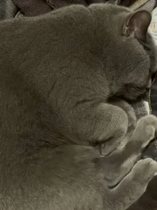 liana_kisses 🦋 Foto 3