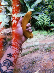 Public de Osonhodelas  5 Imagens