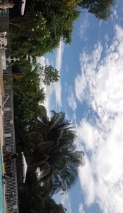 Sun weekend at the pool🌤️🏊🏻 de chloe_moons_  8 Imagens