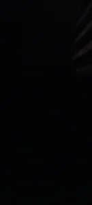 ValiantSemiticのLoaの枚の写真