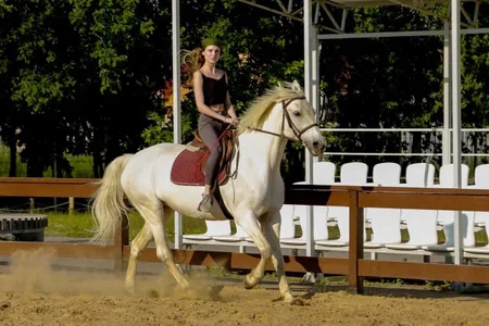 New Adventures with Horses de SuchArt_  6 Imagens