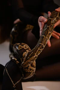 The snake Lady de Sweet_haeven  7 photos