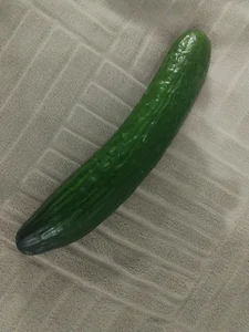 Stallion100 Cucumber Foto