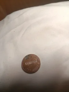 cocomax007 Ya Immagine  4