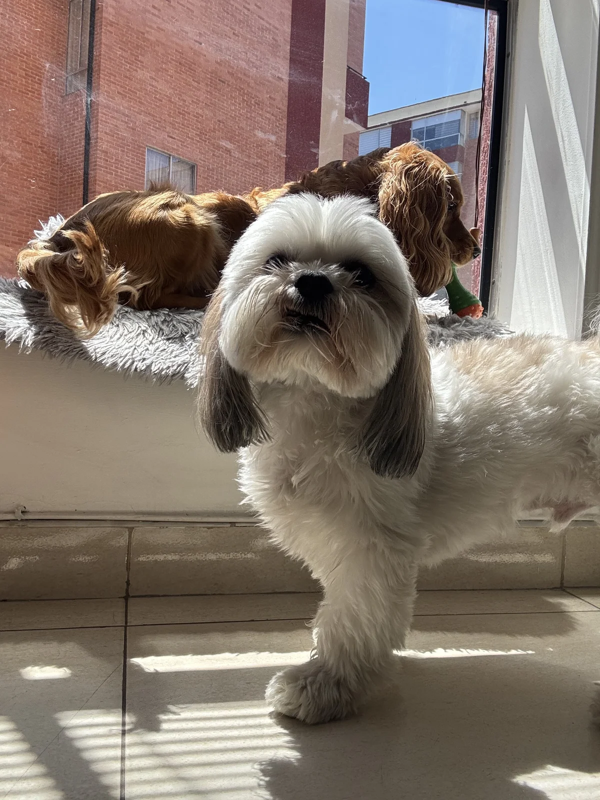 Chris_Clarck Populära bilder 7632