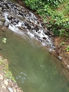 NekoAbbyのRelaxation day 💕✨の 6枚の写真