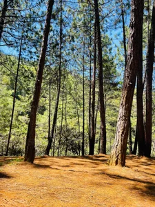 jamescurly00 Jamescurly Hình 7