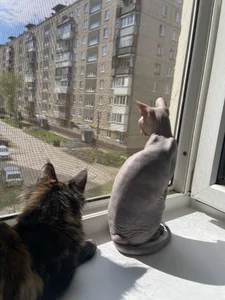Taylor_Davids My interests and hobbies✨ 사진 9