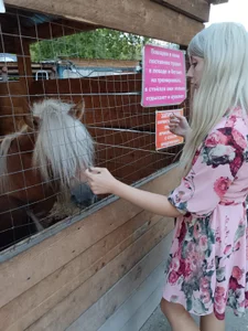 KyliePagFavorite animals Bild 4