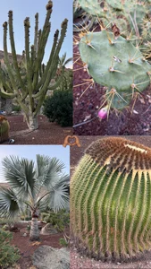 GinaValentinna Travel view😍 Foto