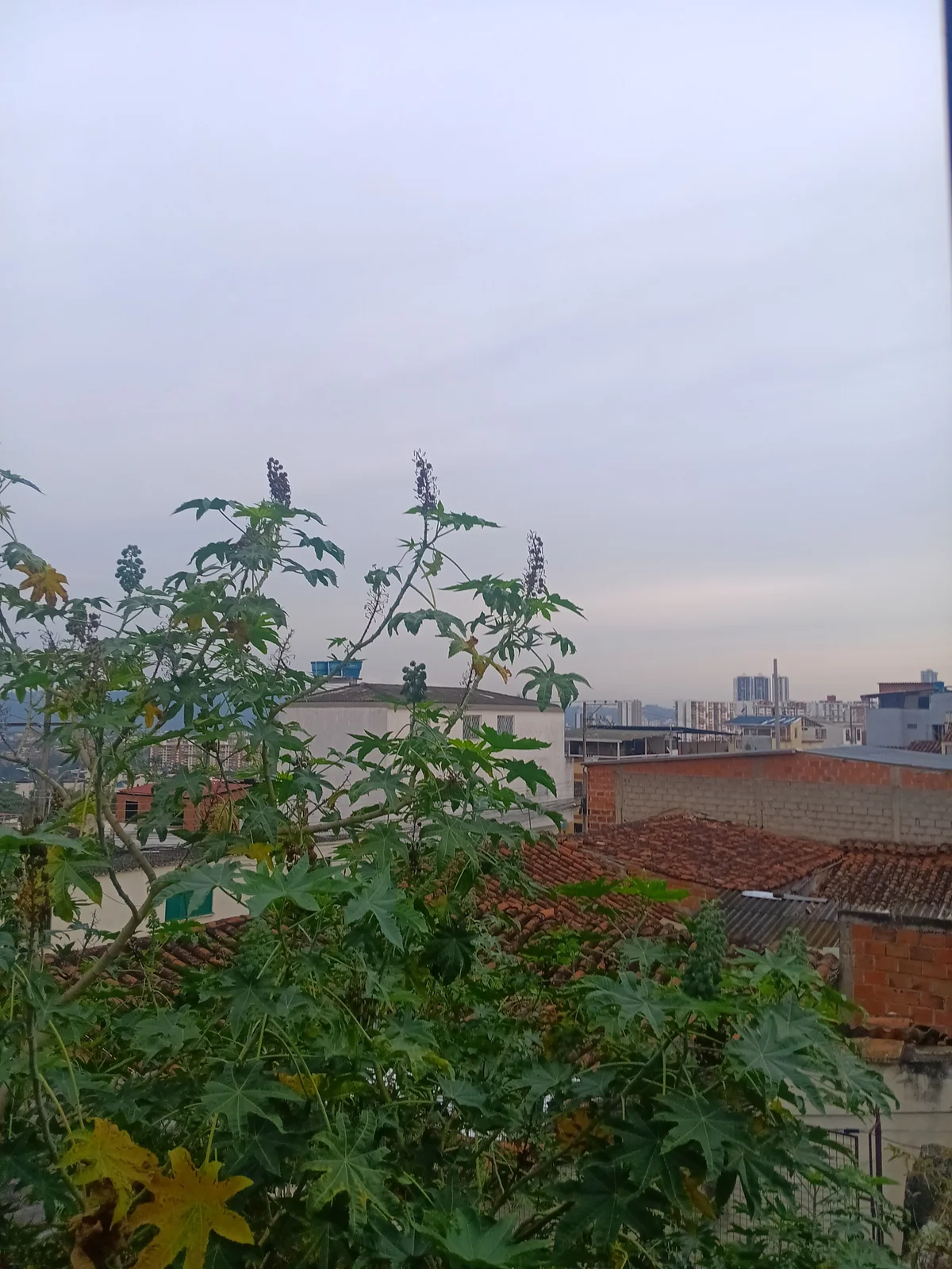 Foto em tendência de jacson_w8 1304