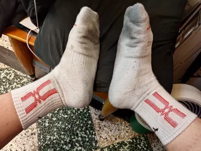 ksmasterfordog kullanıcısının Public albümü -  fotoğraf