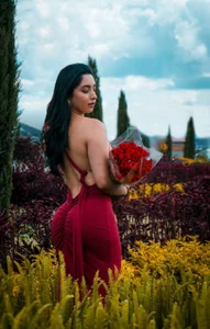 san Valentín de niko_robin  3 Imagens