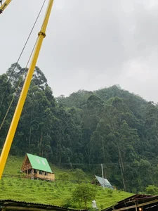 Zdjęcia AlanNaughty Peace:  2