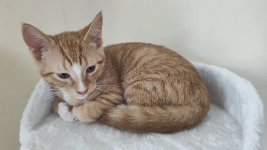 l4dyc4pricorn76 Public Pic 4