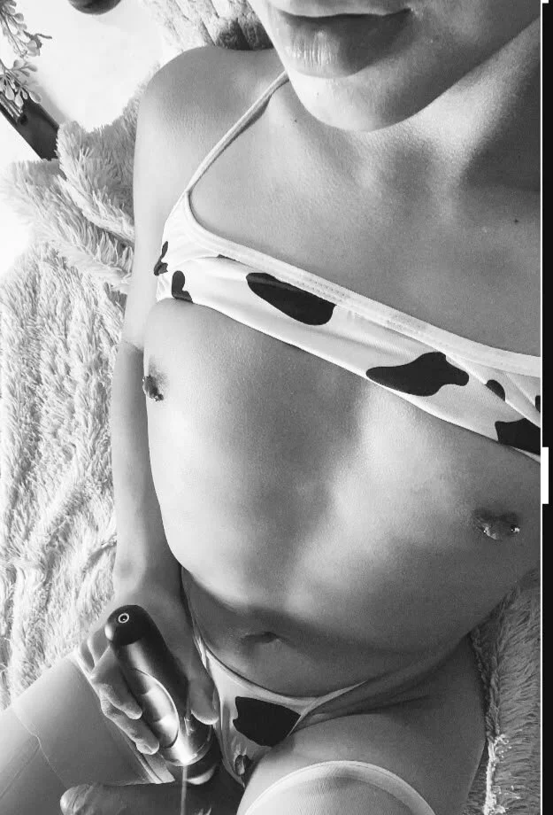 Трендове зображення  9290 Dante_bre