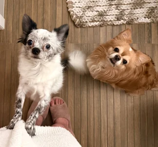 Eva_Zill 🐾Softest paws🐾 Pic 5