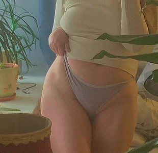 Sienna-Cow Public Foto 4