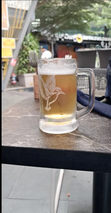 glitchwaligirl Banglore Diary Poză 2