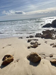 Dalekyi Public Pic 3