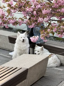 solar_bella Lovely vacation time Pic 9