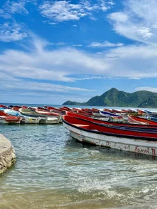 charlotte_01 beach day 🌴 Εικόνα 5