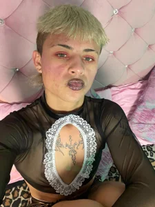 Heiden-Stiven MAID Pic