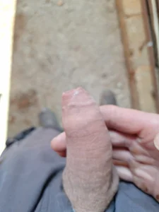 wolfie199 Public Immagine 