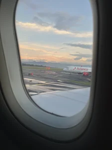 Sam_Sara: Caribbean at Christmas 💚🥥 ( 5 фото)