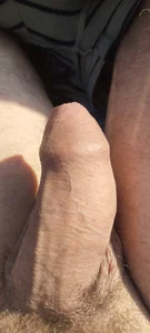 Luxurito Webo รูป  6