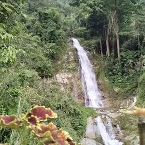 AshleyandCleo Nature Kuva 8