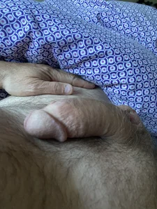 Cock de Bourne_606  2 Imagens