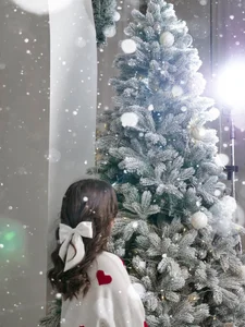 DivineAmour Christmas Lights Pic 4