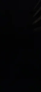 Public de ValiantSemitic  4 Imagens