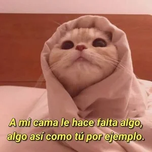 alix_jones ❤️🤩 Εικόνα 5