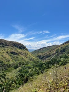 AshleyandCleo Nature صورة واحدة|AshleyandCleo Nature صورتان|AshleyandCleo Nature  2 صور|AshleyandCleo Nature  2 صورة