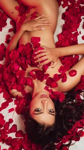 LillyThompson Roses Pic 2