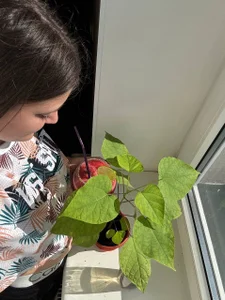 JessicaJewells ☀️☀️☀️ Immagine 