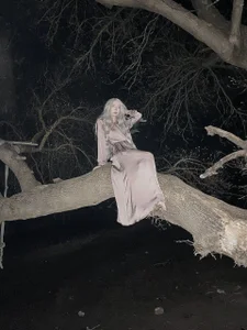 Public de Evelyn_Neal  5 Imagens