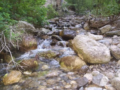 Anita-Smith 🤗☀️ Foto 2