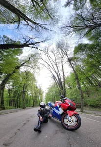 TiffanyMaze can I take you for a ride? Immagine  3