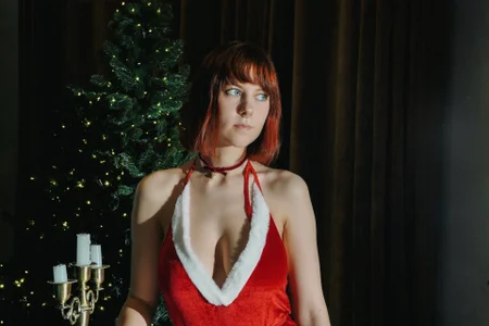 Alice_dusk_ In the spirit of the Christmas Hình 5