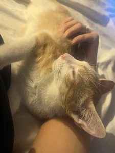 Jay_wlls Me  5টি ছবি