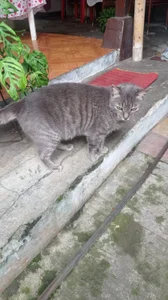 CamilaLume Public Poză 6