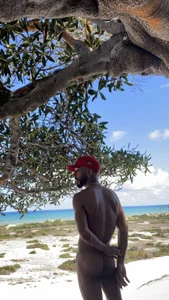 versatilssa21cm Public Kuva