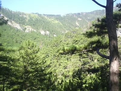 Anita-Smith 🤗☀️ Foto 3