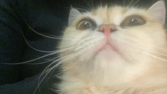 Afina_Donna me2 Immagine  2