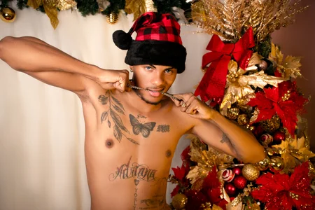 merry christmas to all de TysonWalkers  4 Imagens